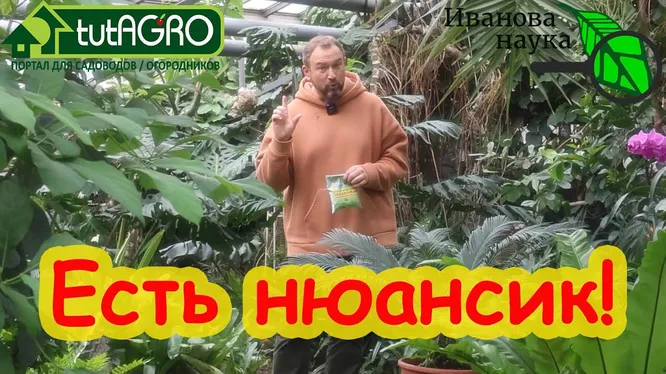 Нажми и смотри