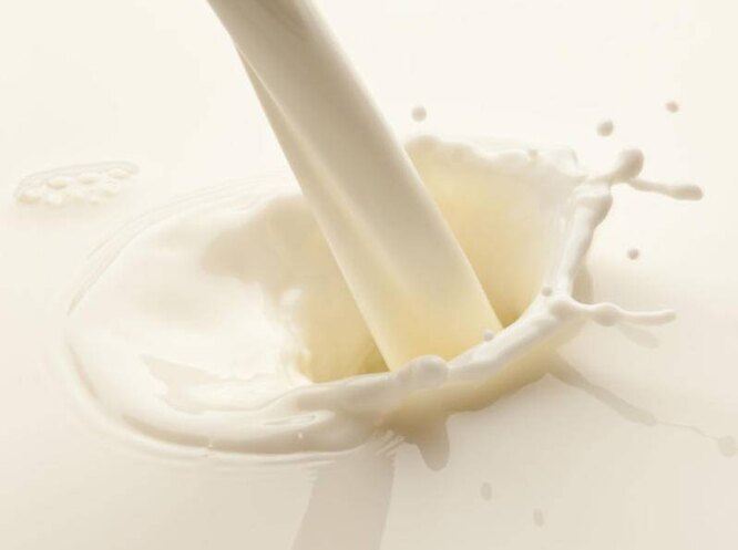 Горчит коровье молоко: что это значит и как решить проблему?