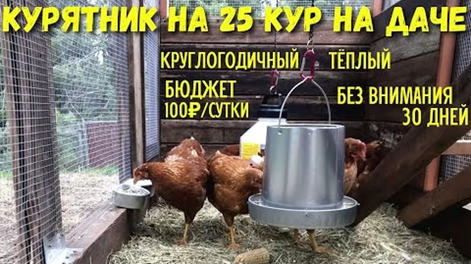 Курятник из теплицы и поликарбоната 3 метра * 4 метра