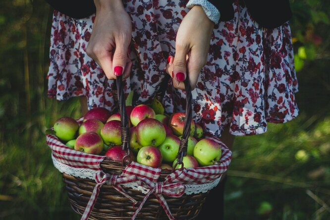Как сохранить до весны яблоки и 12 беспроигрышных способов заготовки на зиму