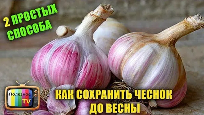 Нажми и смотри