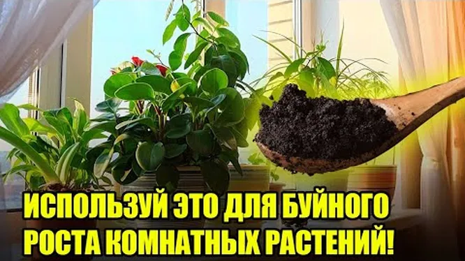 Нажми и смотри