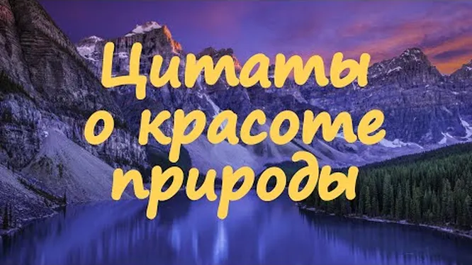 Нажми и смотри