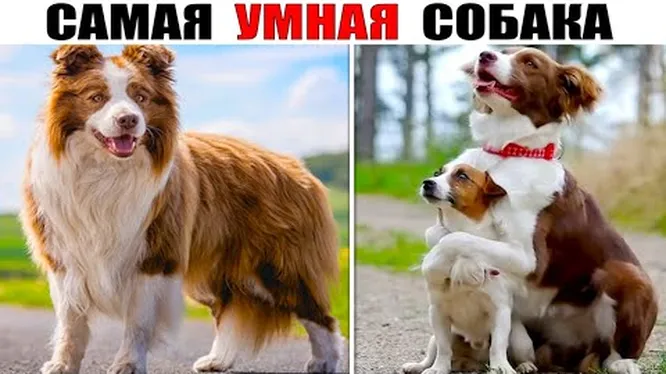 Нажми и смотри