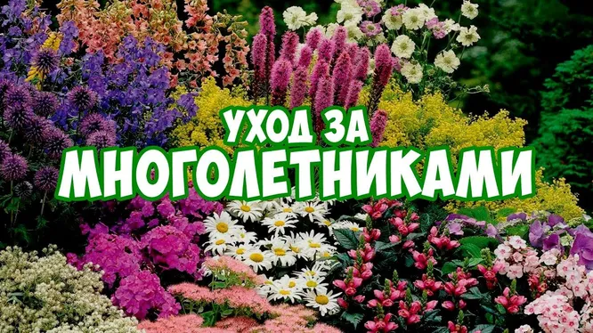 Нажми и смотри