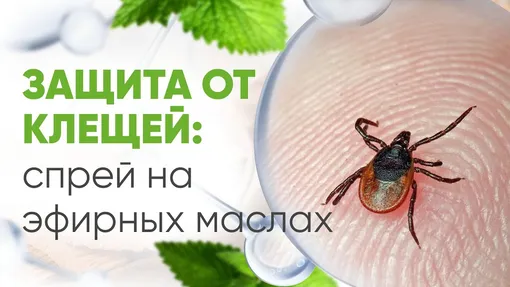 Препараты от клещей на основе натуральных ингредиентов? Стоит ли оно того?