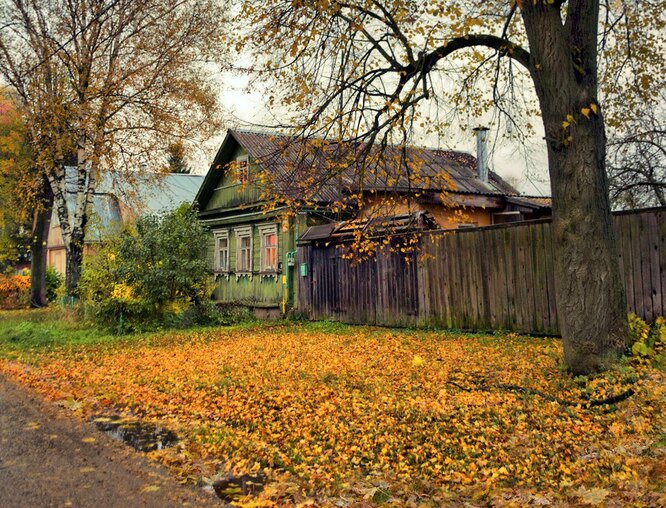 Осень🍁Пора готовить грядки к следующему сезону.