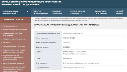 Информация об исковом заявлении Алсу на сайте мировых судей Москвы