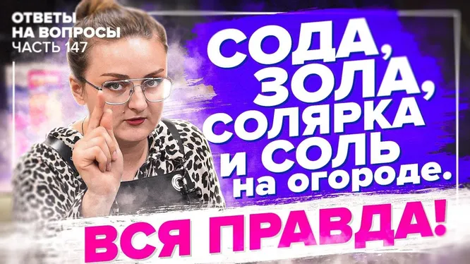 Нажми и смотри