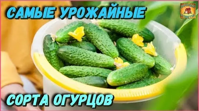 Нажми и смотри