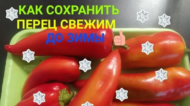 Нажми и смотри