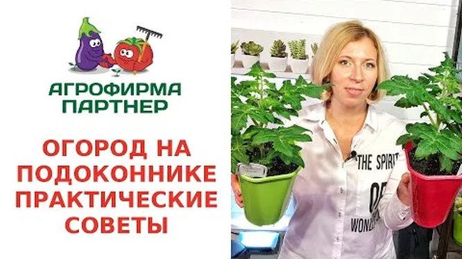 Нажми и смотри