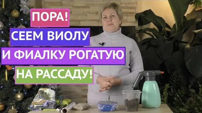 Нажми и смотри