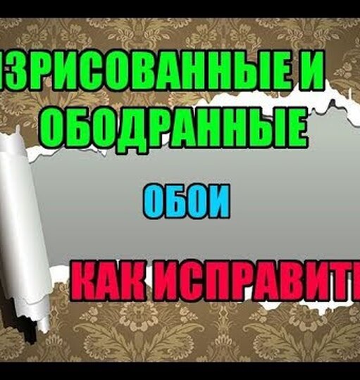 Как замаскировать ободранные обои кошкой