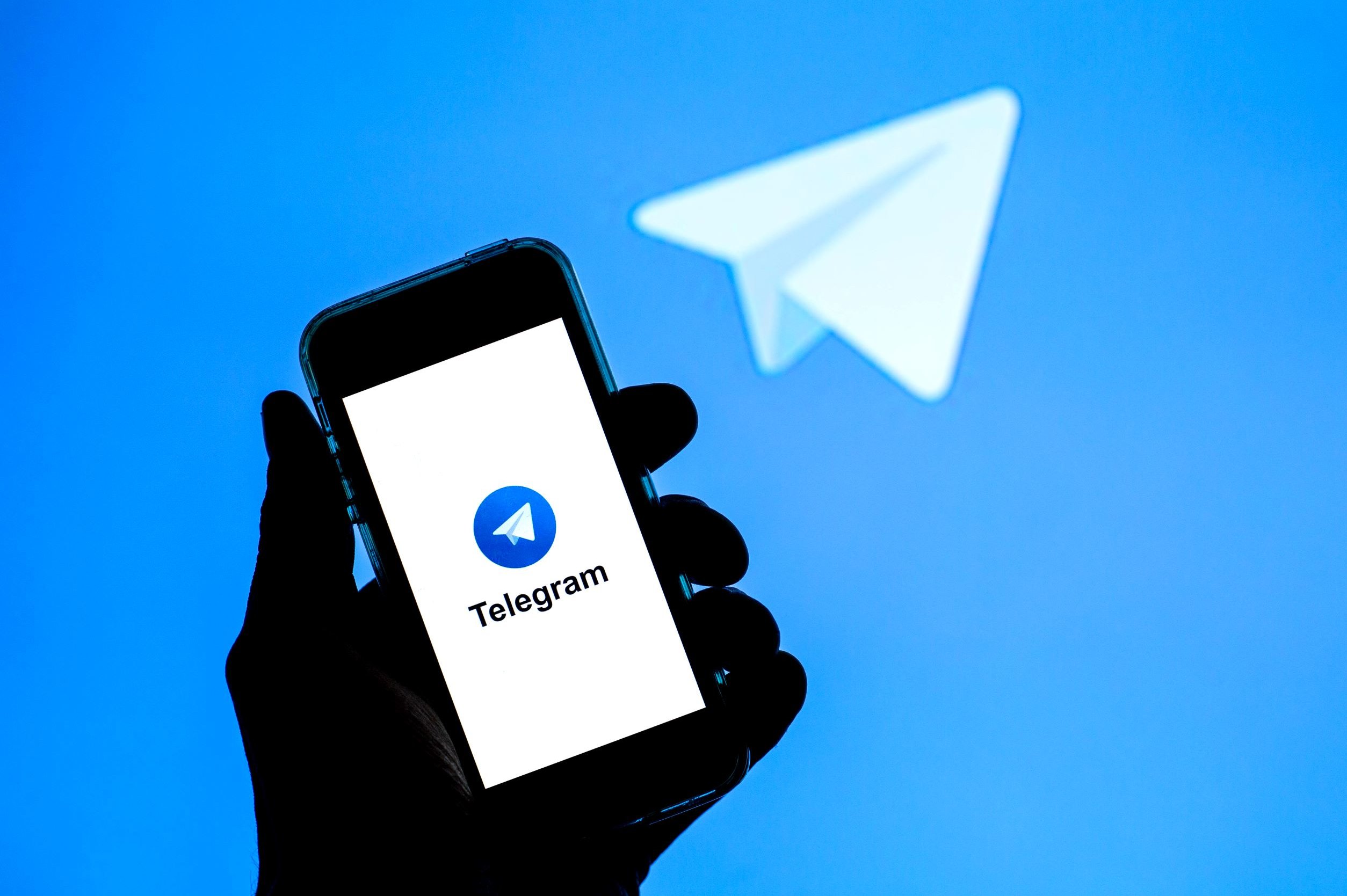 Как подписаться на российских знаменитостей в Telegram