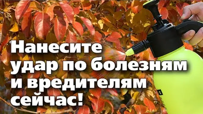 Нажми и смотри