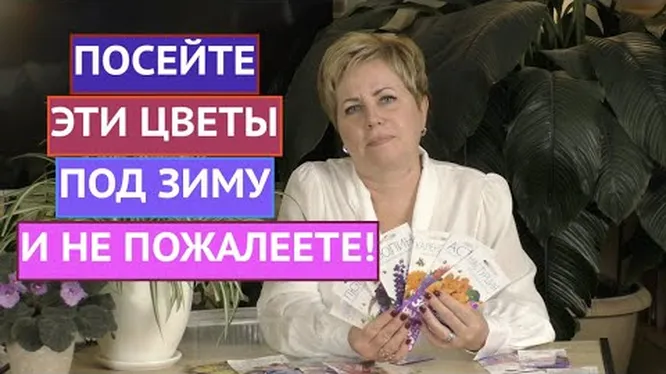 Нажми и смотри