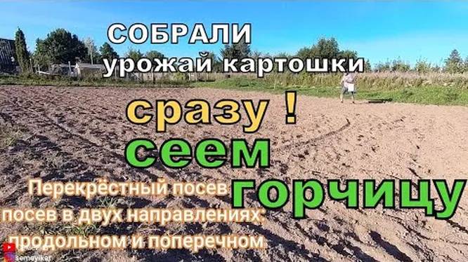 Нажми и смотри