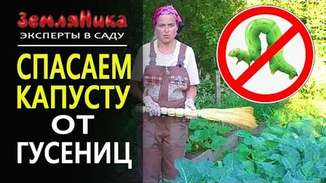 Нажми и смотри