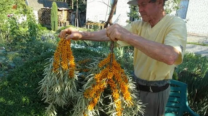 Нажми и смотри