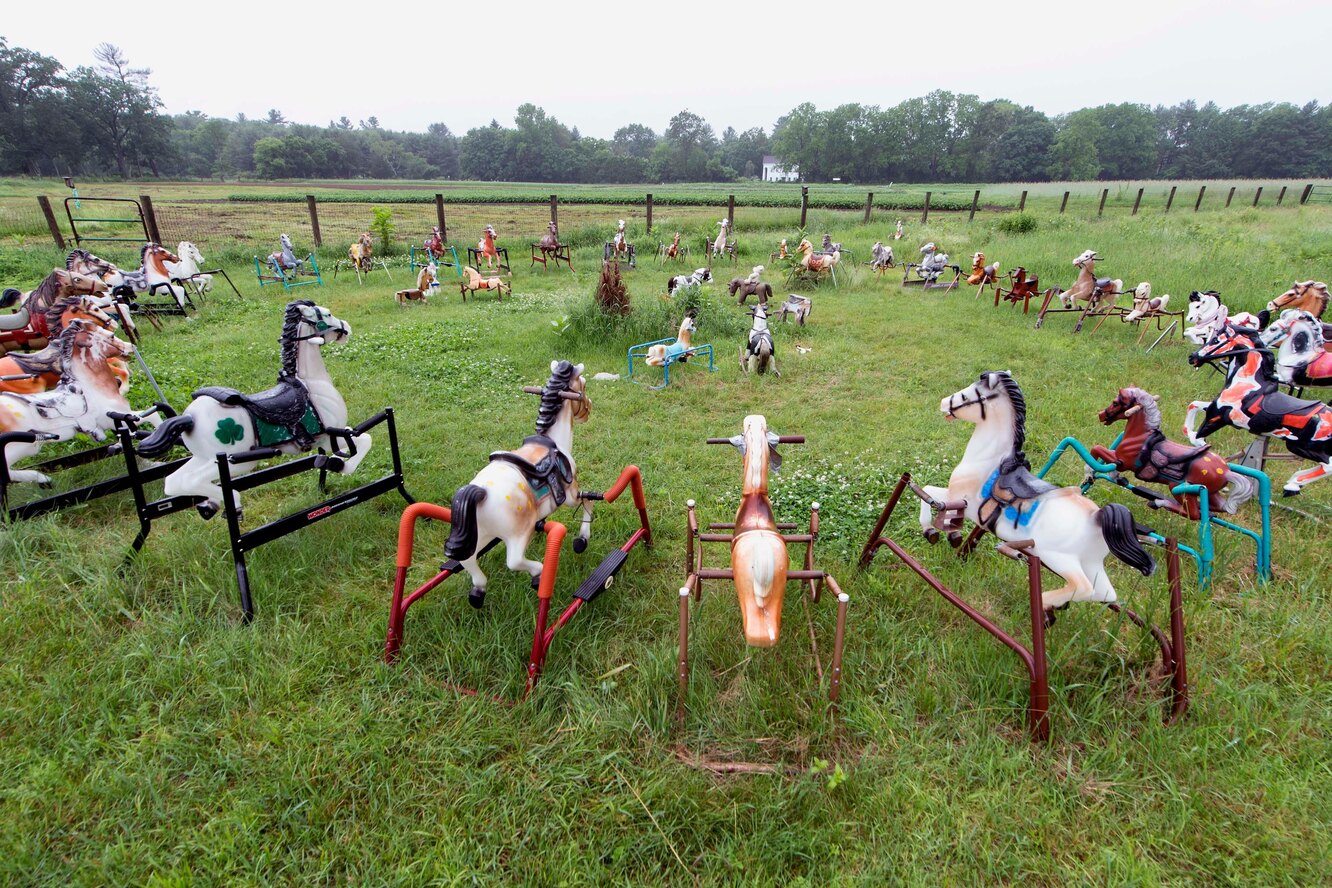 питер кладбище лошадей фото
