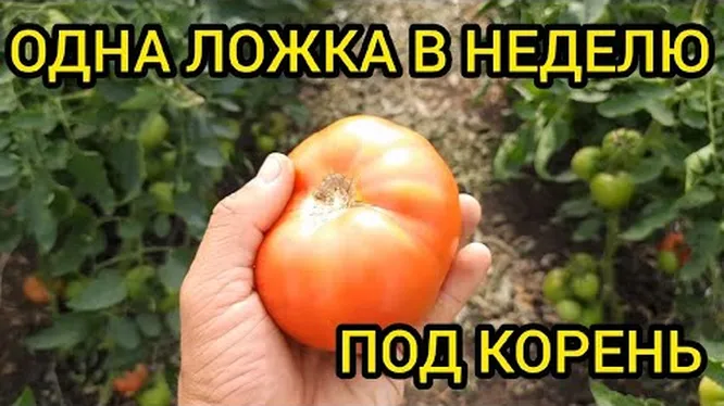 Нажми и смотри