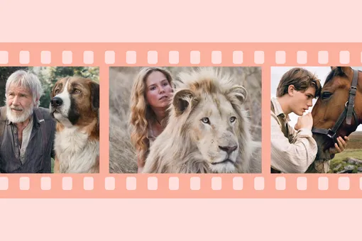 25 замечательных фильмов о животных для всей семьи
