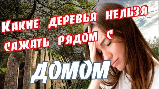 Нажми и смотри