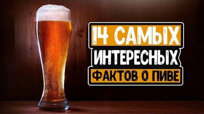 Нажми и смотри