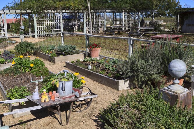 Французский огород — полезное и красивое украшение сада.