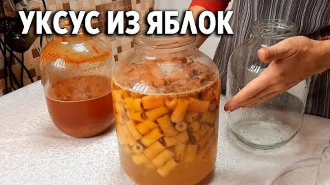 Нажми и смотри