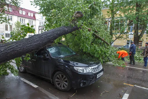 Ураган в Москве