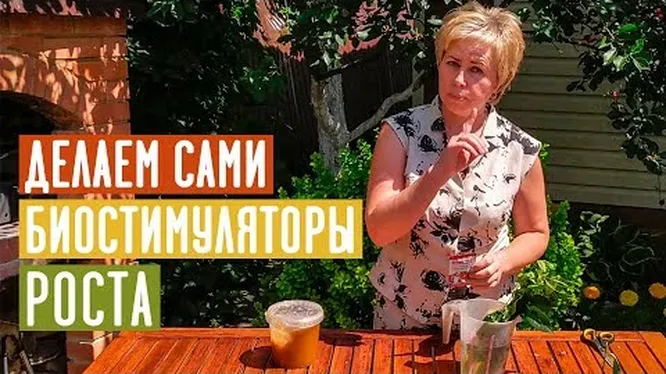 Нажми и смотри