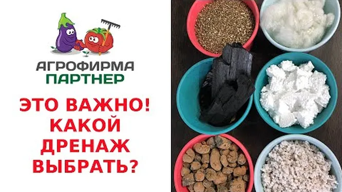 Нажми и смотри