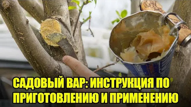 Нажми и смотри