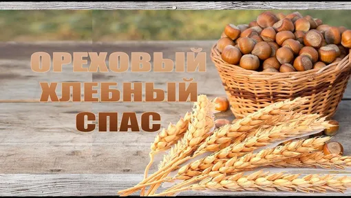 Лунный посевной календарь садовода и огородника на неделю с 28 августа по 3 сентября 2023 года