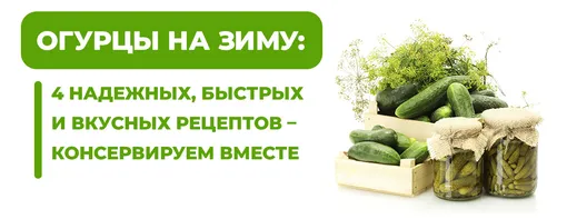 Как закрыть огурцы на зиму – рецепт маринованных хрустящих огурцов – видео - Телеграф