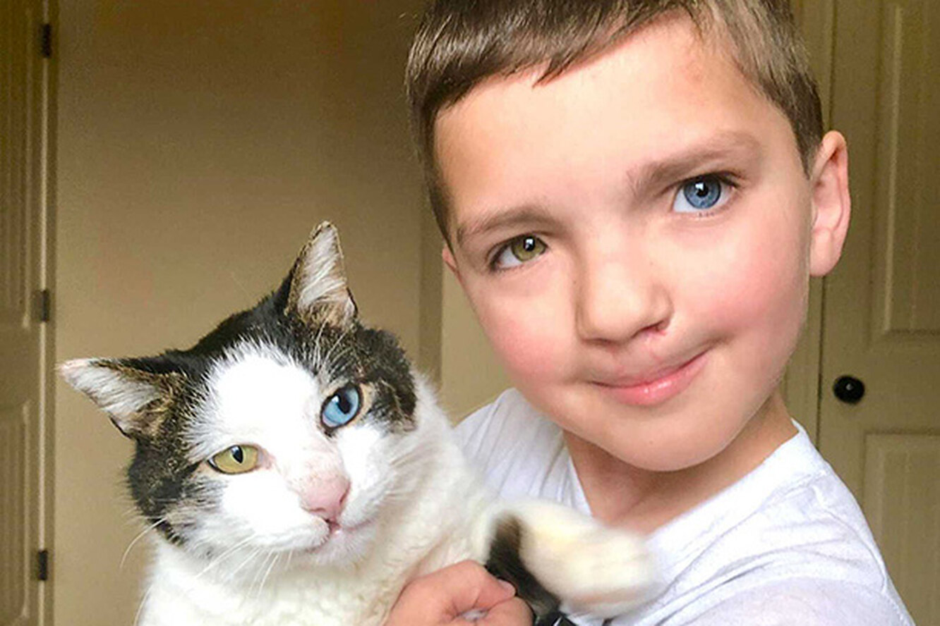 Мальчик и кот с разными глазами