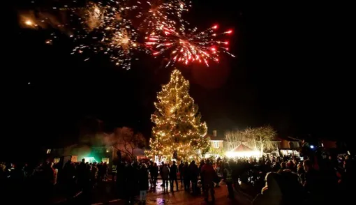 The Rowlands neighborhood tree in the village of Inkberrow, Worcs