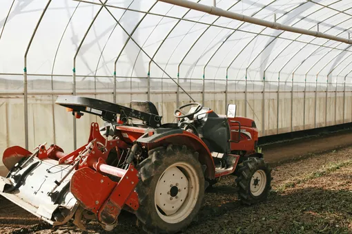 Продукты на местных производствах наиболее полезные