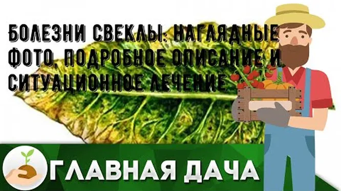 Нажми и смотри