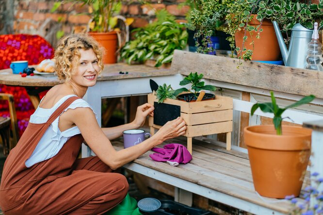 Комары, жара и отсутствие света: 7 способов решить дачные проблемы