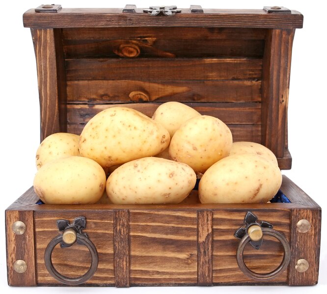 Ящик для хранения картофеля и других овощей своими руками