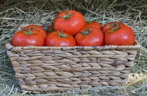 Народные средства не только улучшают вкус, но и защищают от вредителей