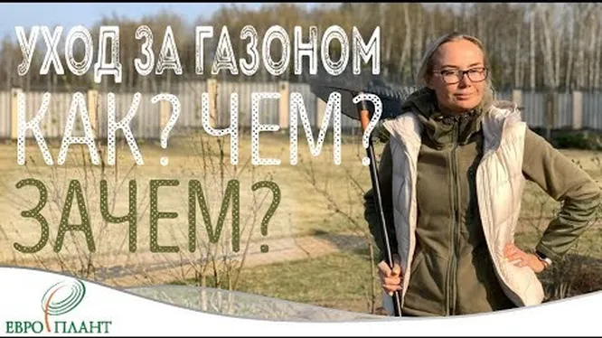 Нажми и смотри