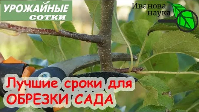 Нажми и смотри