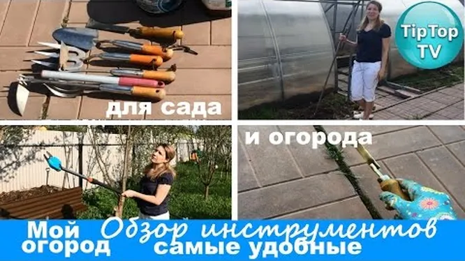 Нажми и смотри