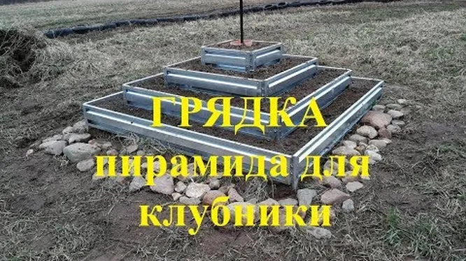 Необычные клубничные грядки