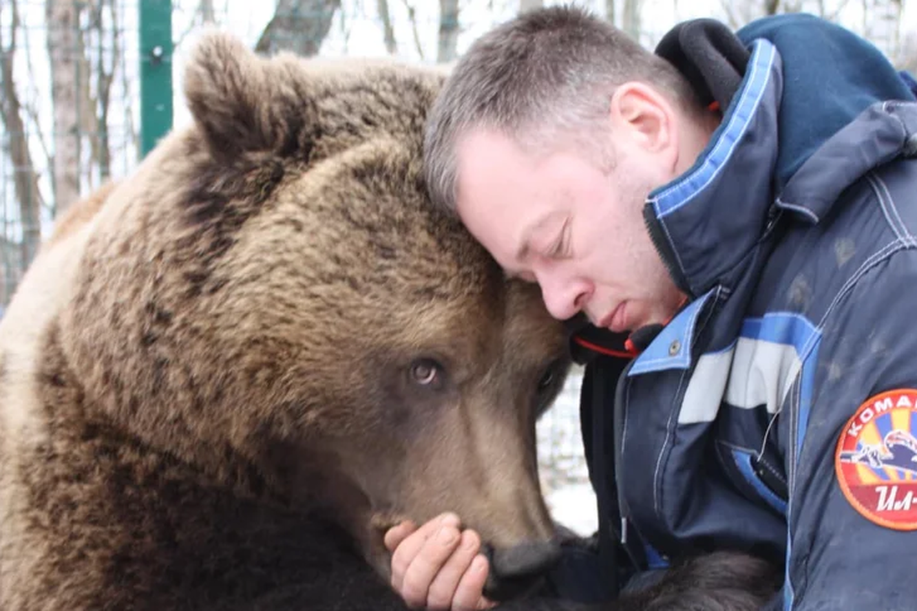 Фото с медведем спб