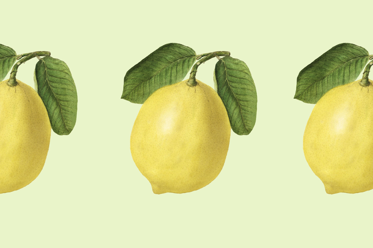 Как быстро сушить цедру лимона в домашних условиях вкусная и ароматная приправа, рецепты с фото